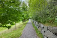 View 60