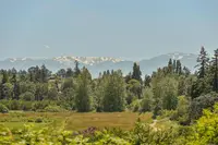 View 62