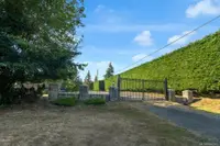 View 54
