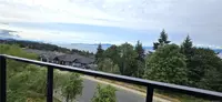 View 57