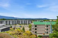 View 40
