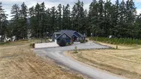 View 41