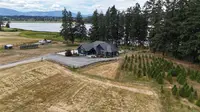 View 40