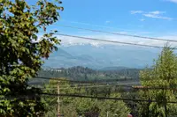 View 21