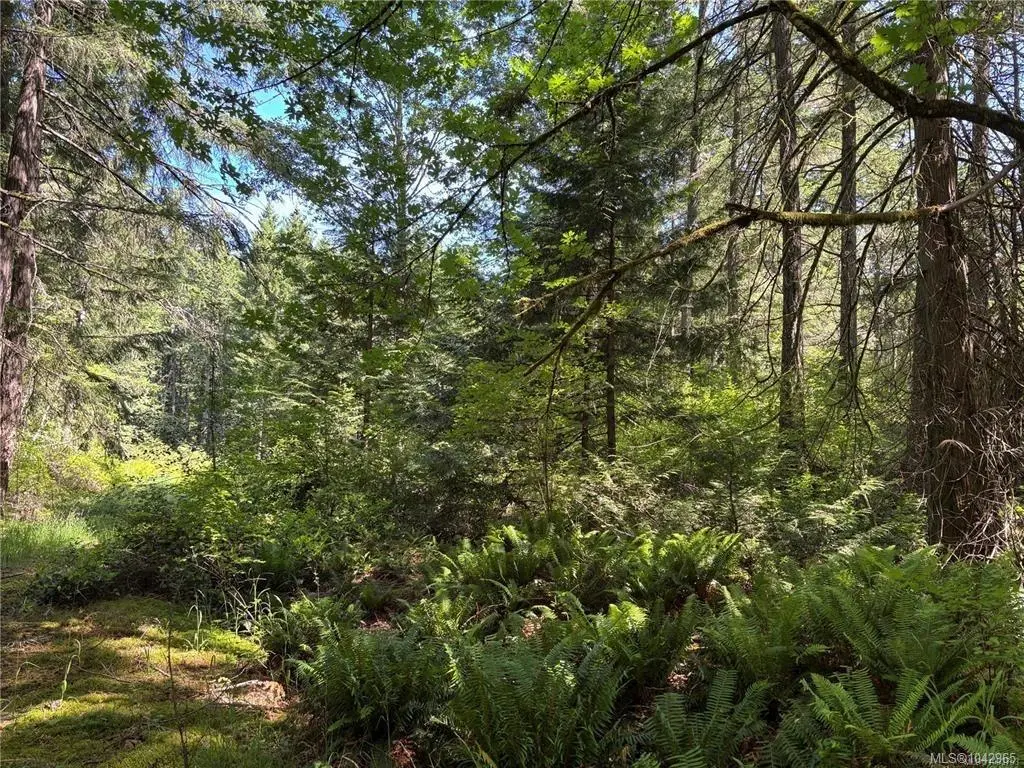 5596 Munn Rd, Highlands BC V9E 1G7