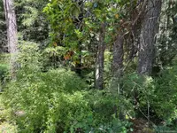 View 4