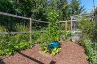 View 30