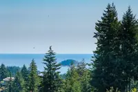View 56