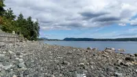 View 10