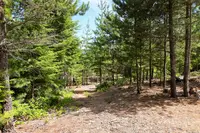 View 56