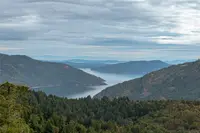View 38