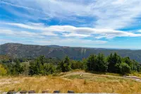 View 49