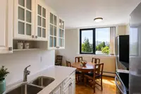 View 12