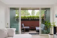 View 12