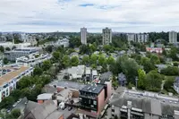 View 61