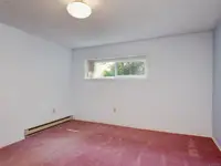 View 49