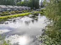 View 27