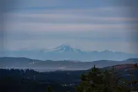 View 88