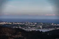 View 89