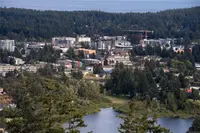 View 93