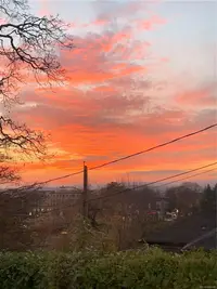 View 29