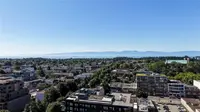 View 50