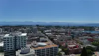View 42