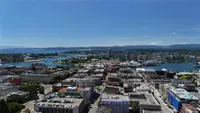 View 40