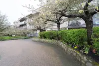 View 21