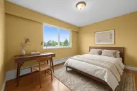 View 14
