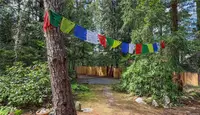 View 22
