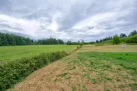 View 68