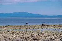 View 44