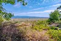 View 39
