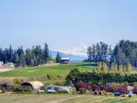 View 57