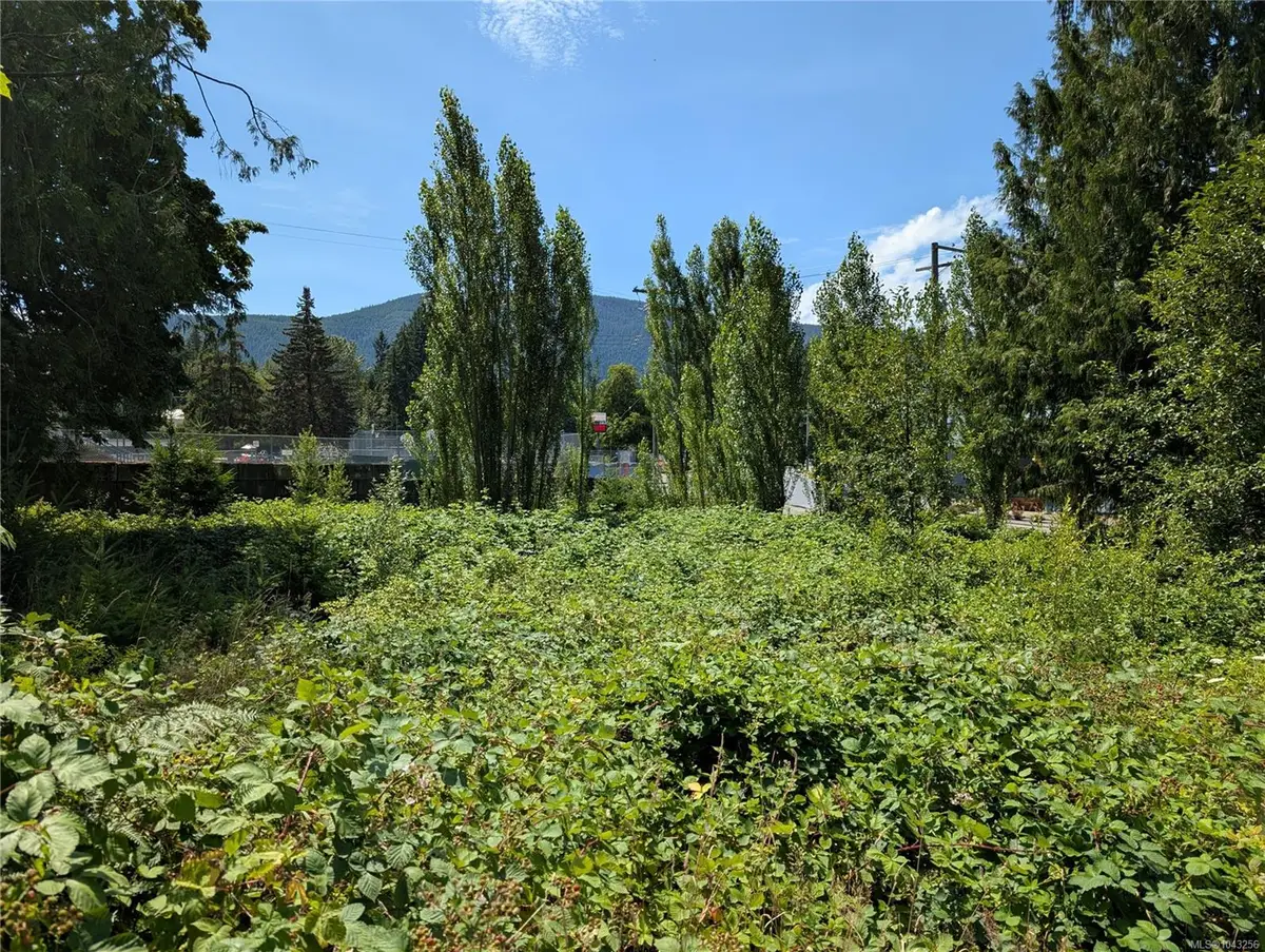 96 Cowichan Ave, Lake Cowichan BC V0R 2G0
