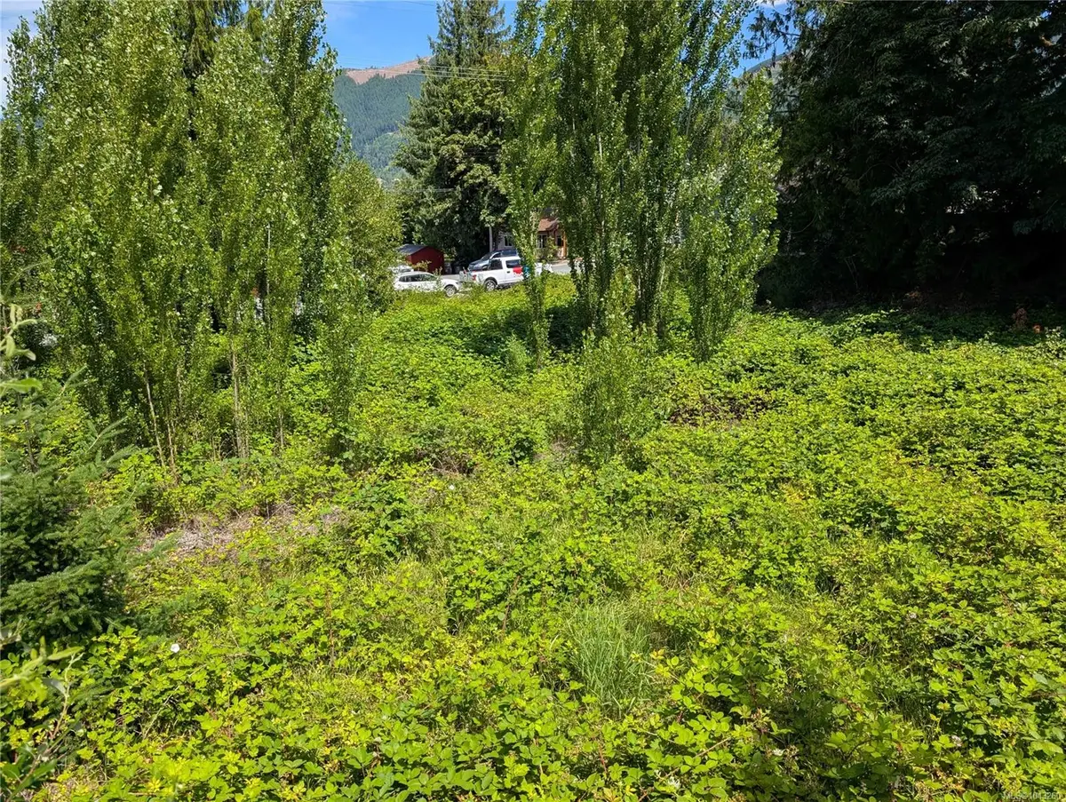 172 South Shore Rd, Lake Cowichan BC V0R 2G0