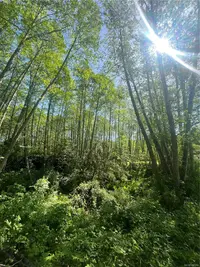 View 72