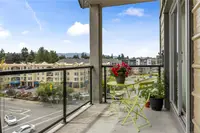 View 14