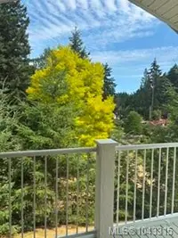 View 11