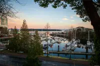 View 38