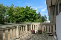 View 4
