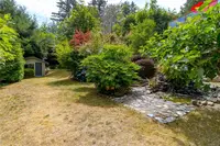View 50