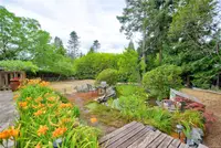 View 50