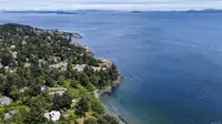 View 61