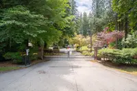 View 31