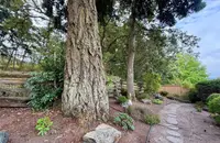 View 34