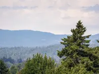 View 33