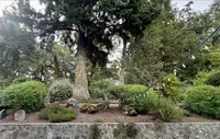 View 35
