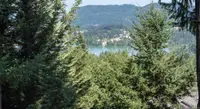 View 51